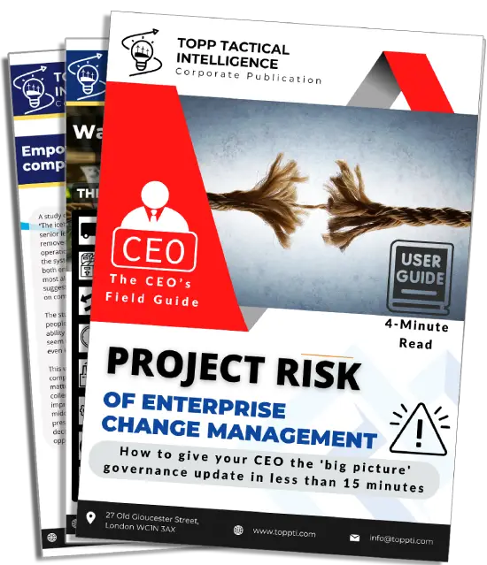 project risk mgmt